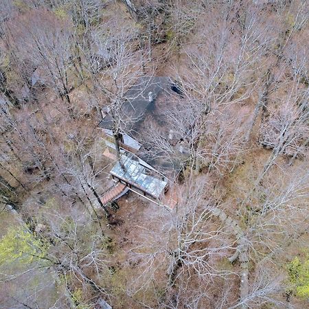 La Corteccia Del Faggio Monte Amiata Esterno foto