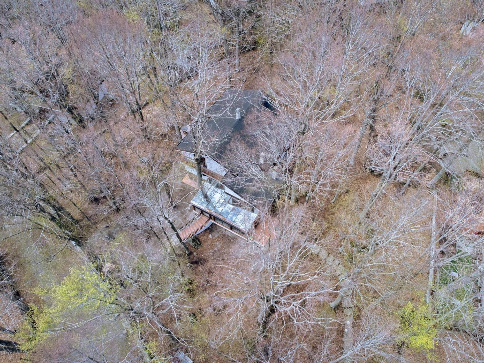 La Corteccia Del Faggio Monte Amiata Esterno foto